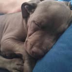 Profile Picture of Dominic O'Brien (@dominic.o.brien.94185) on Facebook