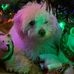 Profile Picture of Penny Diakonis (@Penny-Diakonis) on Facebook