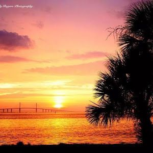 Profile Picture of Richard S (@sonofabeachfl) on Tiktok