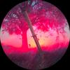 Profile Picture of Edward Hill (@edward.hill22) on Tiktok