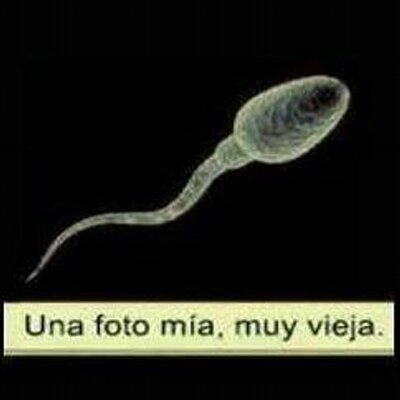 Manuel Dos Santos - Twitter Profile Picture of Manuel Dos Santos (@@manuelelmusiu) on Twitter