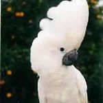 Profile Picture of jasonstillwell (@j.stillwell.2017) on Instagram