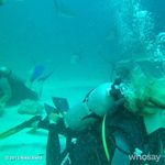 Profile Picture of Norman Ozerov (@normanozerov) on Instagram