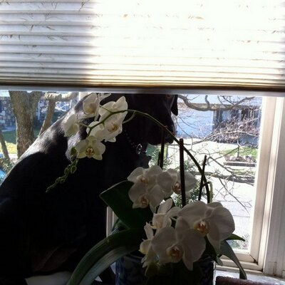 Profile Picture of Amy Leaness (@Amyleaness) on Twitter