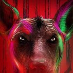 Profile Picture of Francisco Mozko García Alejandre (@franciscoalejandro139) on Instagram