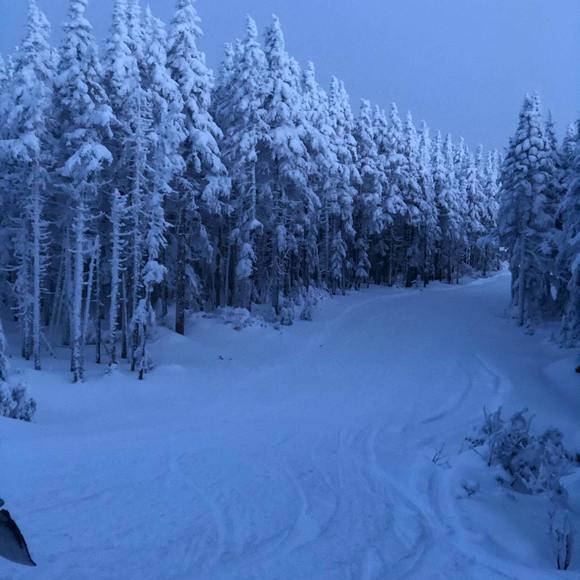 Audrey Brousseau - Poshmark Profile Picture of Audrey Brousseau (@od_rap_18) on Poshmark