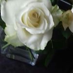 Profile Picture of jean chapman (@jeanchapman84) on Instagram