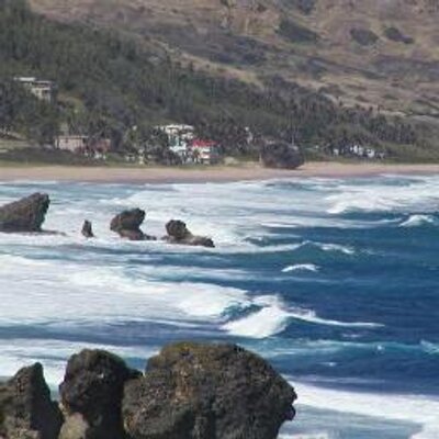 Profile Picture of Sonia Y Schwartz (@YSonia11229) on Twitter