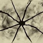 Profile Picture of Sam Hache Jauregui (@jaureguisam) on Instagram