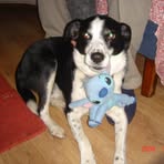 Profile Picture of Paula McGarry (@paula.mcgarry.564) on Facebook