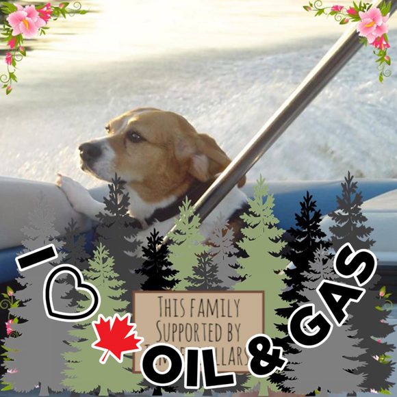 Profile Picture of Barb Rokstad fuerst (@baf49) on Poshmark