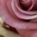 Profile Picture of valeriefenton5 (@@valeriefenton5) on Tiktok