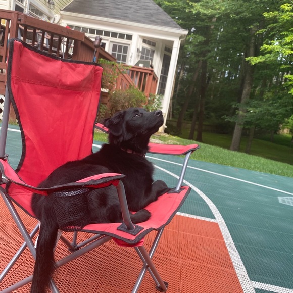 Profile Picture of Jami Damelio (@jed09) on Poshmark