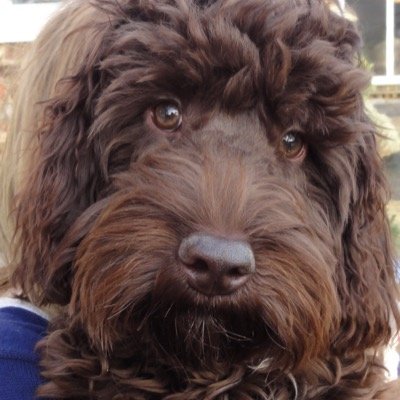 Profile Picture of Margaret Piper (@mumpipes) on Twitter