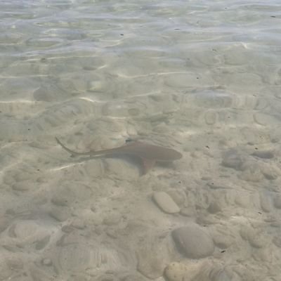 Profile Picture of . (@puisan_95) on Twitter