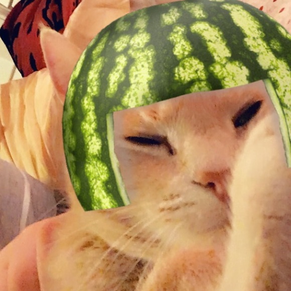 Abby Shier - Poshmark Profile Picture of Abby Shier (@shierabb) on Poshmark