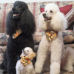 Profile Picture of John and Sherry (@John and Sherry) on Flickr