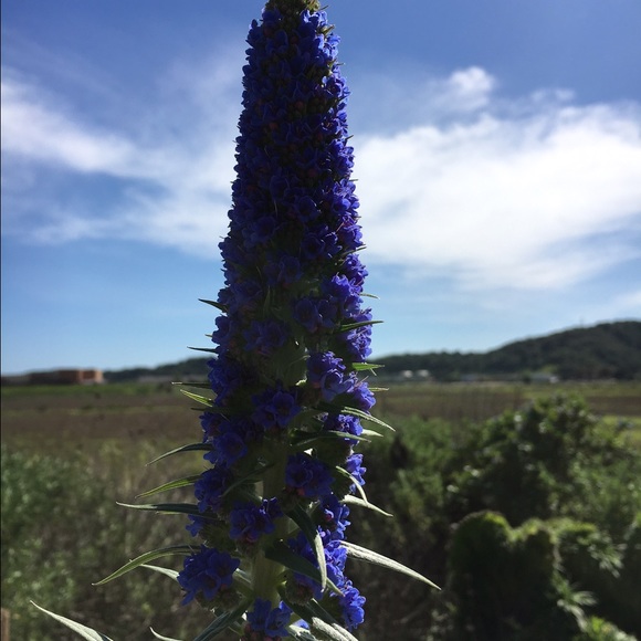 Kelly Paz - Poshmark Profile Picture of Kelly Paz (@pazkelly) on Poshmark