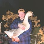 Profile Picture of Aaron Bergeron (@aaron.bergeron11) on Instagram