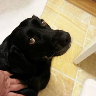 Profile Picture of Hong Chew (@hong.chew.39) on Facebook