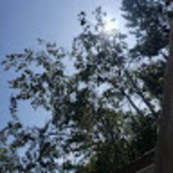 Profile Picture of Joshua Day (@joshday065) on Poshmark