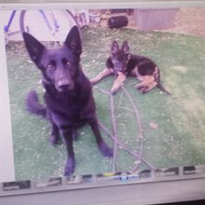 Profile Picture of Randy Ricketts (@CHEVYSIDEWAYZZZ) on Twitter