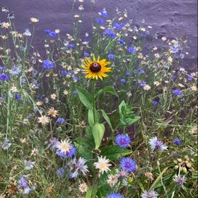 Profile Picture of Andie Crittenden (@andreevc) on Pinterest