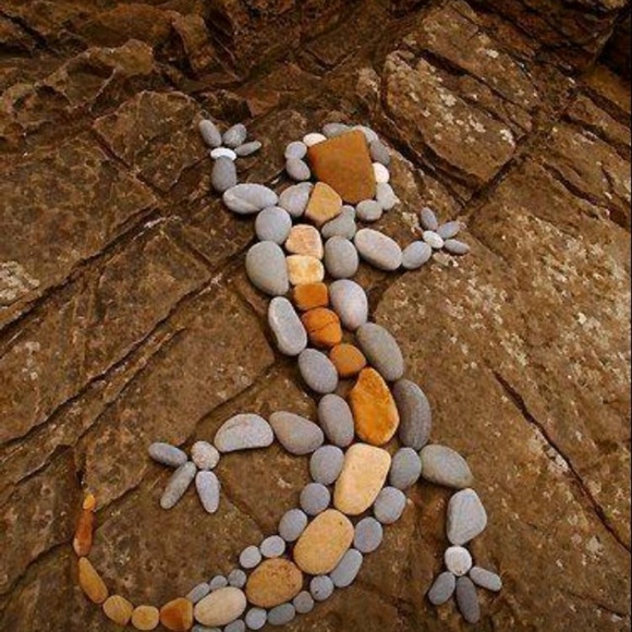 Profile Picture of Adam Braaten (@fireant62) on Poshmark