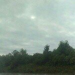 Profile Picture of sam_burrow (@sam_burrow) on Instagram