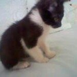 Profile Picture of Eric Alejo Nieva (@eric_alejo) on Instagram