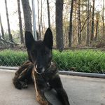 Kevin Kerley - Instagram Profile Picture of Kevin Kerley (@kerley135) on Instagram