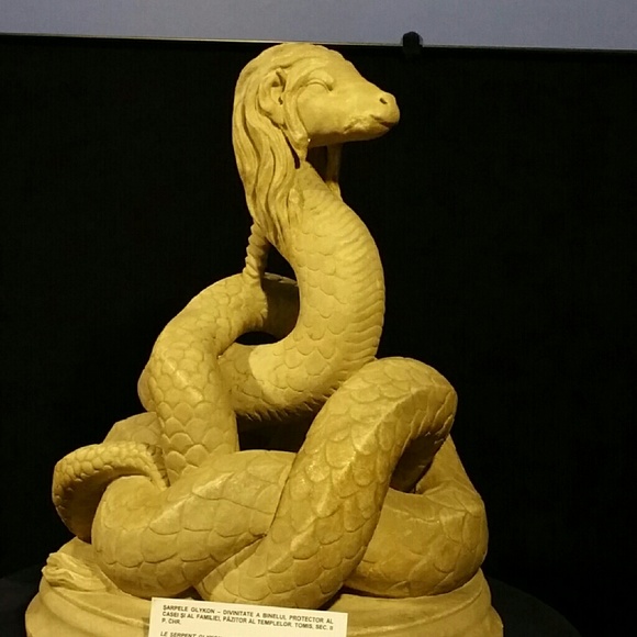 Profile Picture of Codruta Giurgean (@codrutagiu) on Poshmark