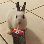 Profile Picture of Brenda Liz Rodriquez Negron (@brendalizrodriquez) on Instagram