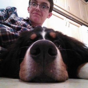 Profile Picture of Sam Lamb (@TheSamLamb) on Twitter