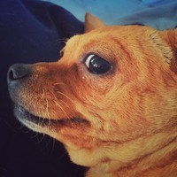 Profile Picture of Bryan Byun (@bryan-byun-2) on Quora