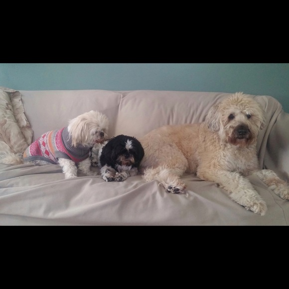 Profile Picture of Lisa Cote (@lbcote) on Poshmark