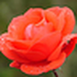 Profile Picture of Micaela Rivera (@micaela's sale) on Flickr