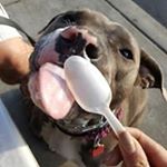 Profile Picture of Sherry Ringer Wahler (@sherrywahler) on Instagram