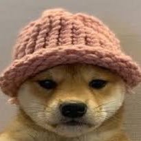 Profile Picture of Kevin Bockelmann (@KevinBockelma11) on Twitter