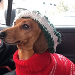 Profile Picture of Matthew Senneca (@mjsenneca) on Instagram