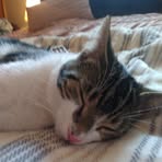 Profile Picture of James Tarnowski (@james.tarnowski) on Facebook