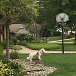 Profile Picture of Peter Krug (@plkrug27) on Instagram