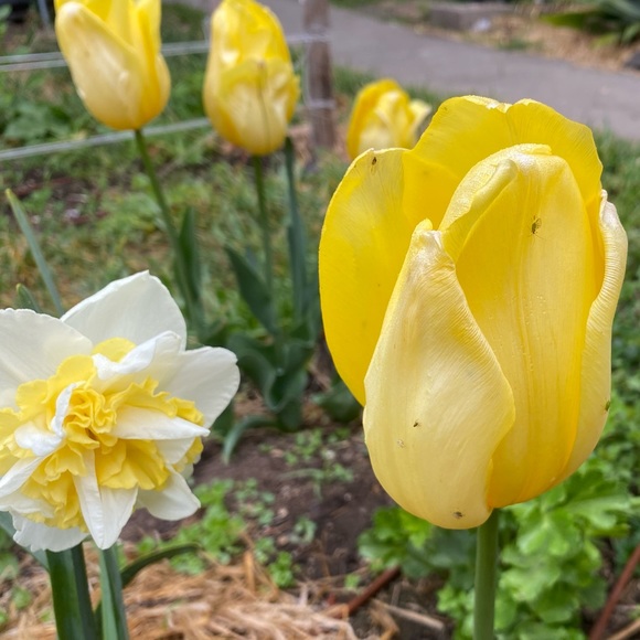 Profile Picture of Carl Bagby (@powerklash) on Poshmark