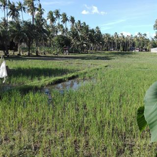 Profile Picture of Robert Pon (@robert.pon.3) on Facebook