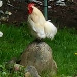 Profile Picture of Robert Callahan (@callahan5191) on Instagram