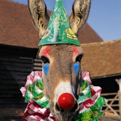 Profile Picture of Philip Day (@PhilipDay1) on Twitter