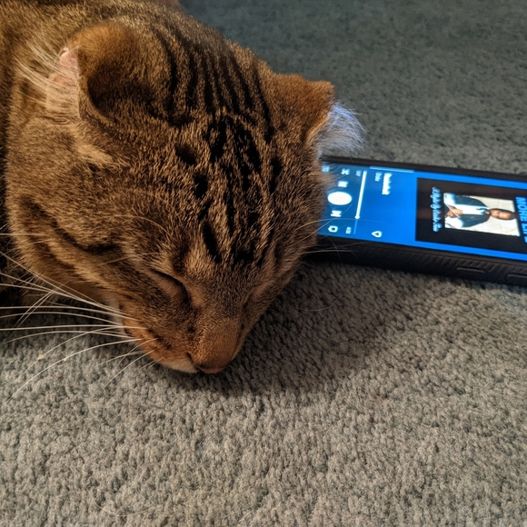 Profile Picture of Judith Schmicking (@judithsch10) on Poshmark