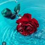 Profile Picture of Ivy Arnold (@ivy.arnold.2025) on Facebook