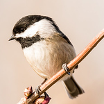 Nathan Masters - Flickr Profile Picture of Nathan Masters (@nathan.masters2014) on Flickr