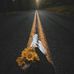 Profile Picture of Lorena Caldera (@lorena.caldera.54922) on Facebook